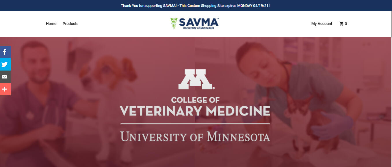 Online Apparel Store